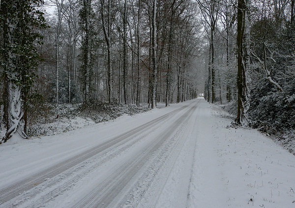 The Snowy Roads Have Very Low Traction