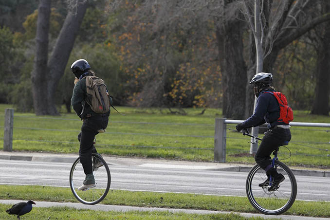 What Are The Types Of Unicycles