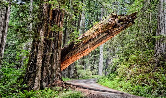 Exploring Unicycling Routes in California